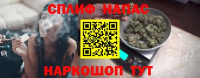 молекула духа Будённовск
