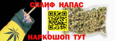 молекула духа Будённовск